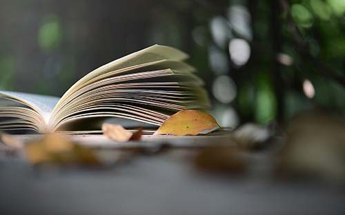 自學考試文憑含金量高不高?