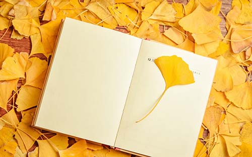 成人高考學費交給誰？