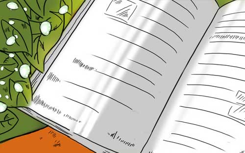 成人高考分數線幾月份公布？