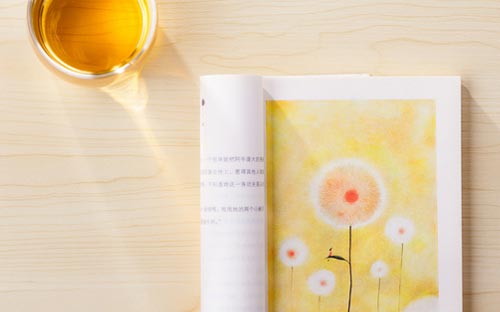 自學考試想當老師該選什么專業?