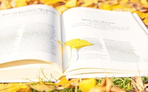 金華開放大學怎么樣？