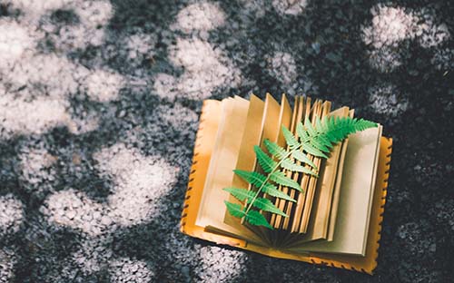 自考學歷可以報考哪些證書?