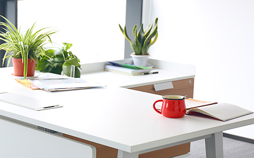 成人高考專升本怎么準備？