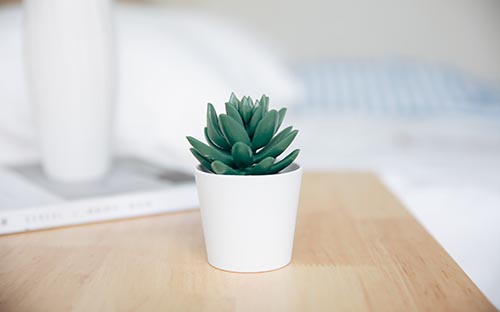 如何查成人高考的準考證?