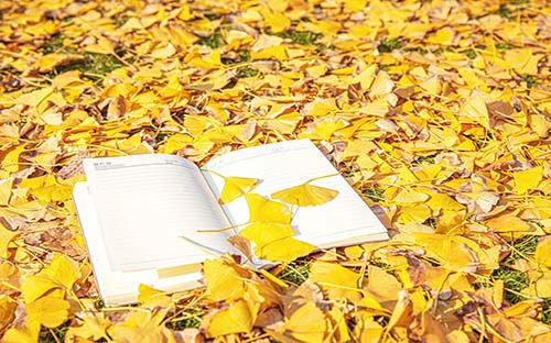 河北成人高考錄取通知書怎么查？