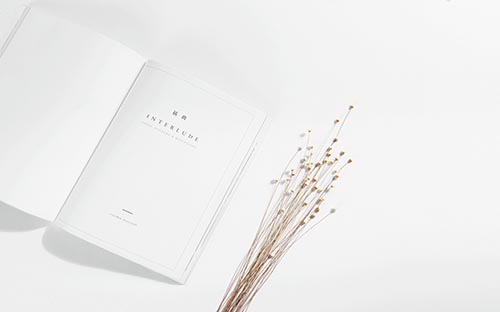 成人自考本科有會計專業嗎? 成人自考本科有會計專業嗎?