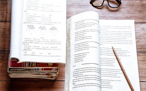 浙江成人高考如何查成績?