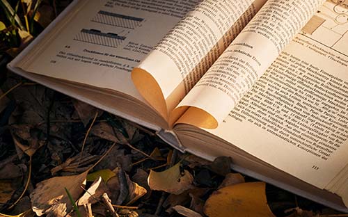 是自考好還是成人高考好?