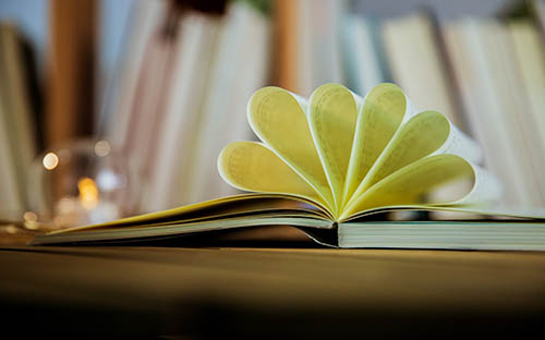 成人高考有什么學歷？