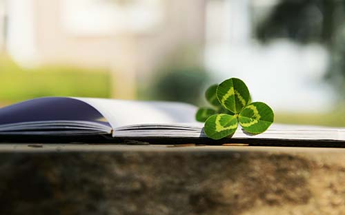 自考報考成功后考試地點可以更改嗎?