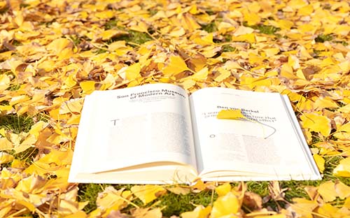 北京自考學位英語會考什么？