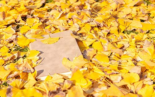 成人高考需要多久才能報考？