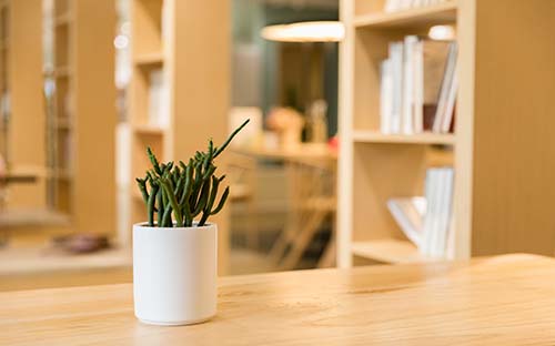 自考本科畢業論文答辯流程有什么？