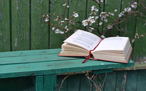 成人高考跟函授本科的區別是什么？