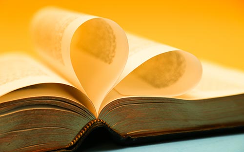 漢語言文學大專自考科目有幾個？