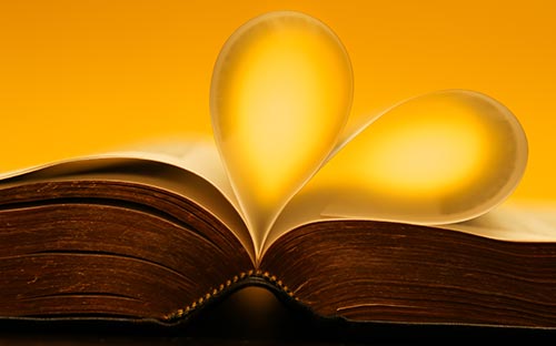 高等教育自考一般學些什么課程？