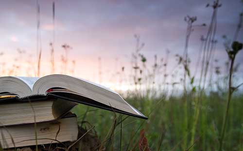 河南成人高考報名時間是多久? 河南成人高考報名時間是多久?