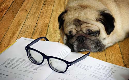 自學考試可以去自考辦報名嗎? 自學考試可以去自考辦報名嗎?