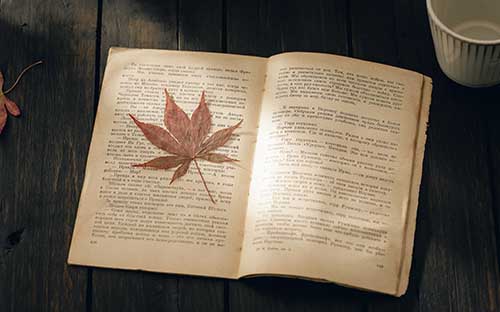 成人自考專業停考后要注意什么?