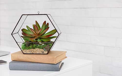 湖南省成人高考成績查詢方式是怎樣的？