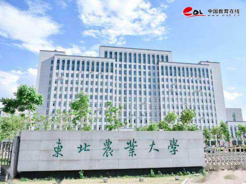 學校校園風光