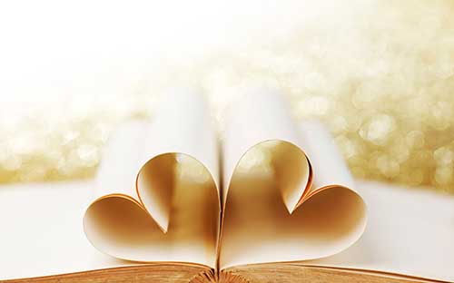 西藏成人自考的專業有哪些？