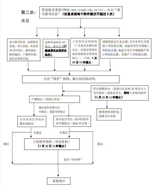 廣東南方職業學院成考報名流程是什么？