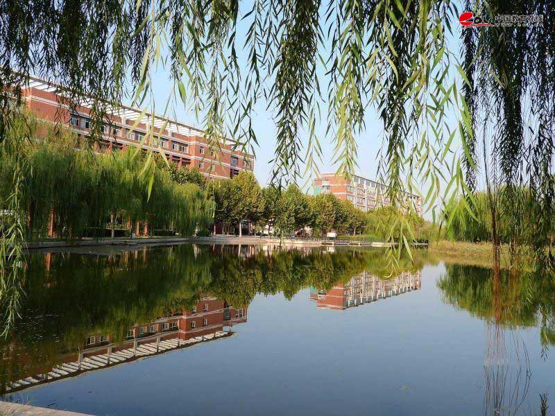 學校校園風光