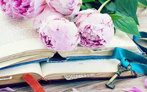 山東成人高考多久查錄取？