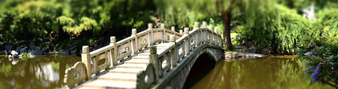 2024年上海師范大學成人高等教育招生簡章