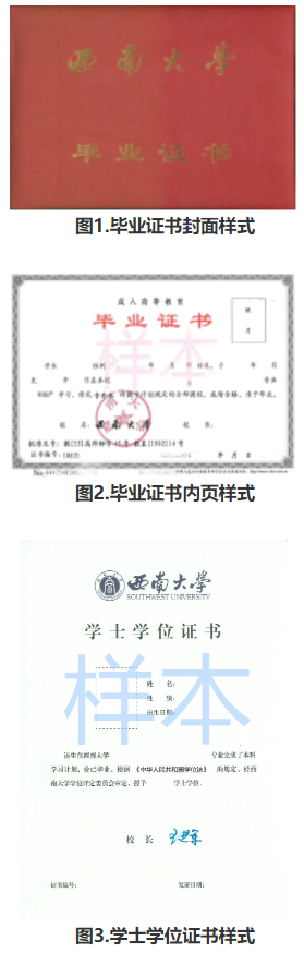 西南大學高等學歷繼續教育2025年招生簡章