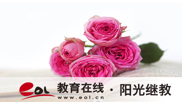 自考英語專科要考哪些科目？掛科可以補考幾次？