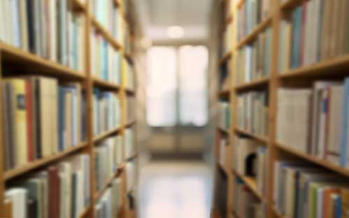 河南成人高考成績在哪兒查詢？怎么查錄取結果？