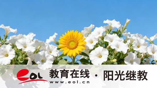 沒有基礎可以報考福建自學考試大專嗎？適合哪些人群報名？