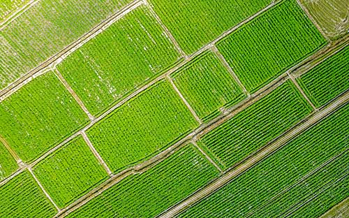 成人高考報名流程是怎么樣的？免考條件有哪些？