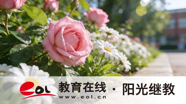 湖北成人高考專科報名流程有哪幾步？讀了有用嗎？
