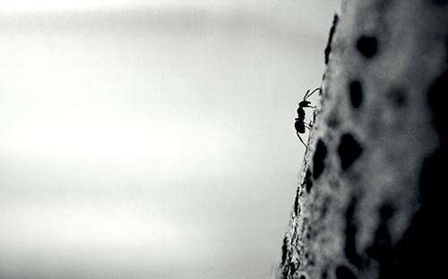 紫陽開放大學怎么樣？