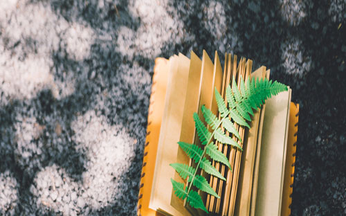 阜新蒙古族自治縣開放大學的學費多少錢？