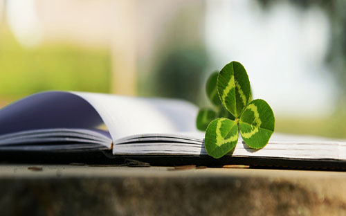 阜新蒙古族自治縣開放大學怎么樣？