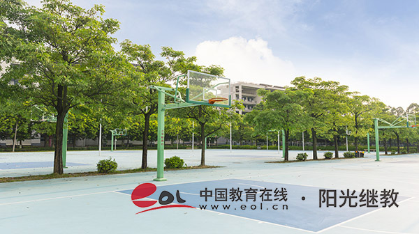 國開有哪些專業比較熱門？有什么條件？