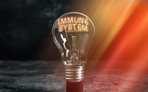 國家開放大學藥學本科專業有哪些課程？如何學習？