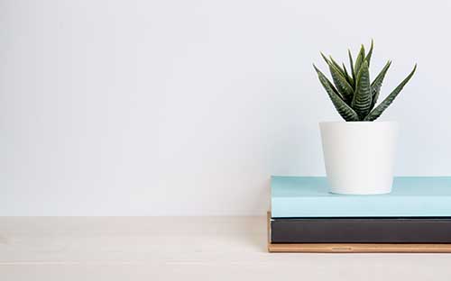 為什么國家開放大學學習進度不變?怎么學習課程? 為什么國家開放大學學習進度不變?怎么學習課程?