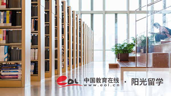 意大利動畫專業本科留學有哪些申請條件