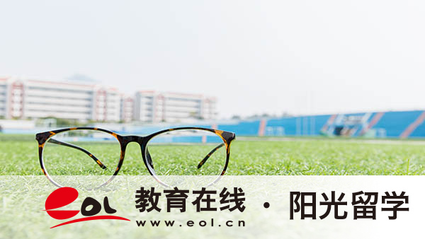 荷蘭插畫專業碩士留學申請有哪些條件，有哪些流程