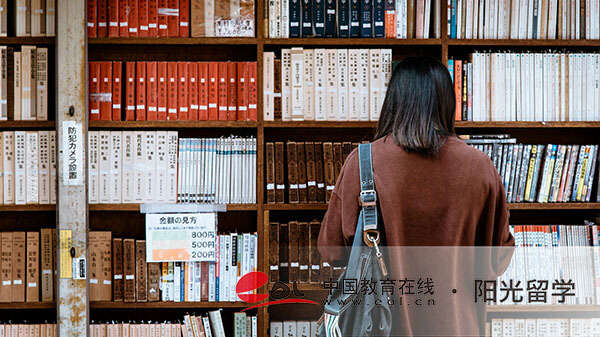山東財經大學2+2國際本科班報考條件