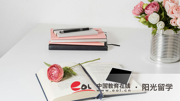 上海大學中外合作國際本科申請條件有哪些