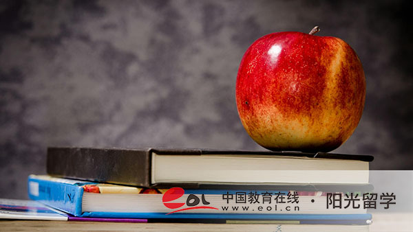 對外經貿大學三加一國際本科班報考條件