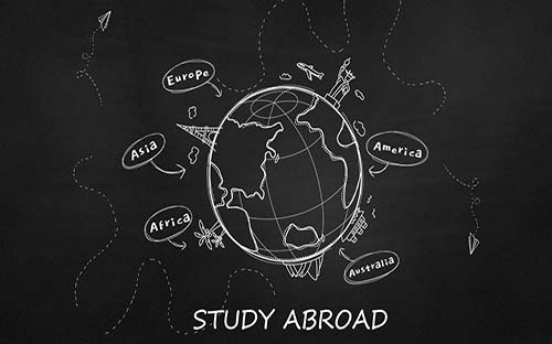 麥克馬斯特大學有哪些專業