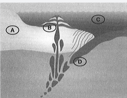 Plate Tectonics托福聽力紅Delta原文翻譯及問題答案
