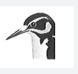 The Relation Between Bird's Bill and Its Diet 托福紅Delta聽力原文翻譯及問題答案